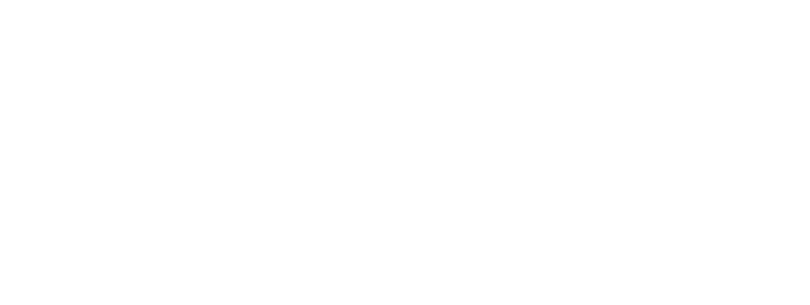 Logo ACA partner
